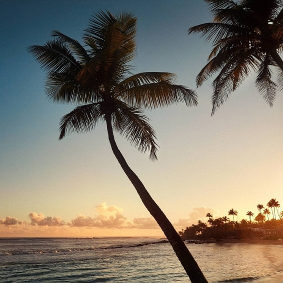 Plan Your Puerto Rico Adventure 2026 Plan Your Puerto Rico Adventure 2026